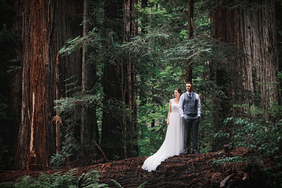 California Redwood Forest Destination Wedding Sam And Joe