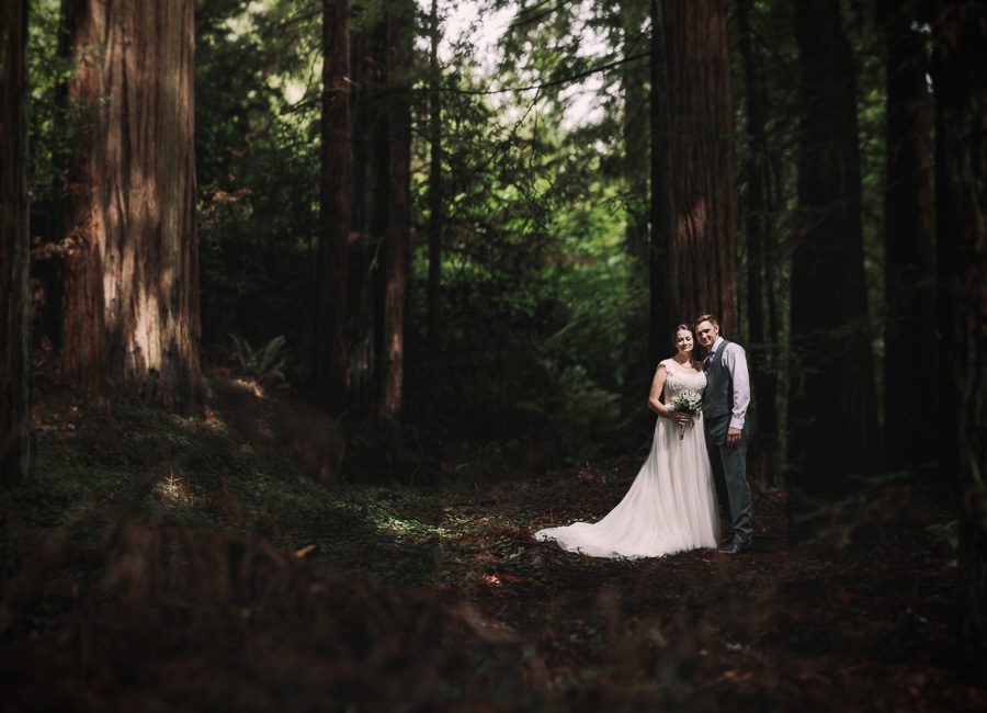 California Redwood Forest Destination Wedding Sam And Joe